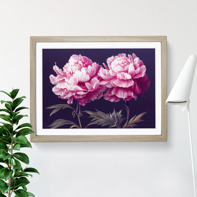 Splendorous Peony Flowers - Framed Print