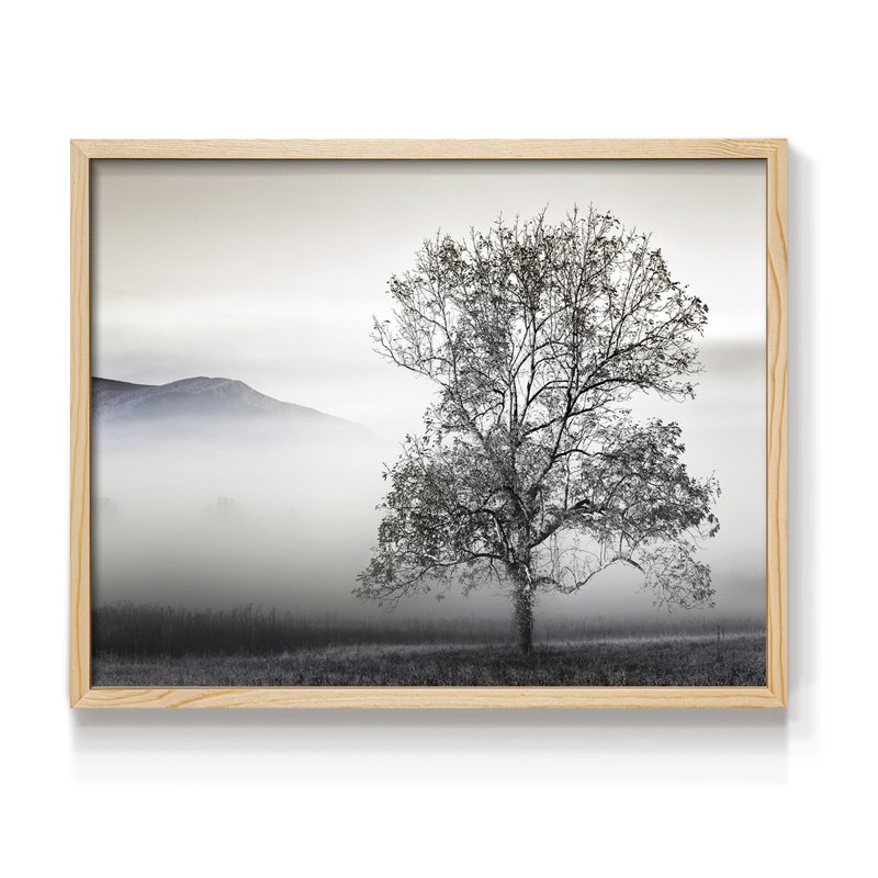 Dégagement de brouillard - impression encadrée - réarmable, H 8 po x l 10 po, Naturel