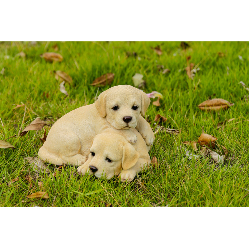 Bébé labradors jouant
