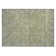 Machine Washable Indoor/Outdoor Cicel ACN1135 Aloe Rug