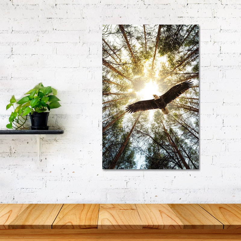 Master of Heaven, impression d'aigle audacieux sur verre acrylique, H 24 po x l 16 po x P 0,25 po