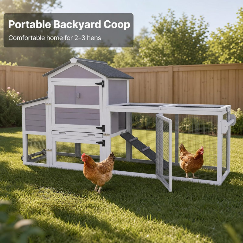 Chicken Coop