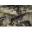 Tapis Marble Design