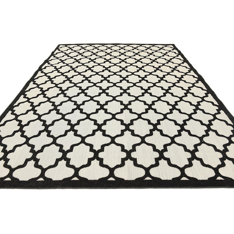 Tapis intérieur / extérieur noir / gris clair Dicus, Rectangle 4 pi x 6 pi