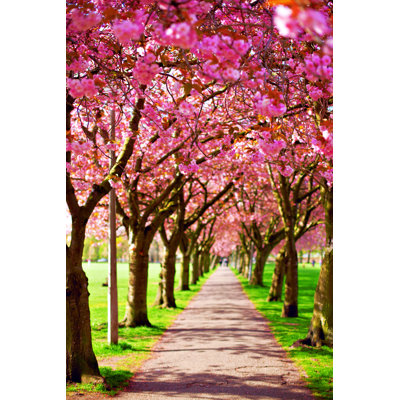 Lampe Blossoming Plum Trees - Wrapped Canvas Print