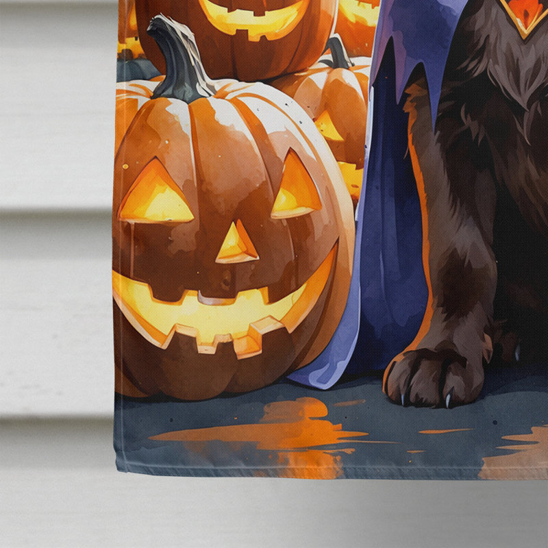 Drapeau de chiot Halloween House, Labrador Retriever chocolat