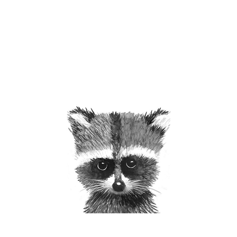 Racoon by Mercedes Lopez Charro - Wrapped Canvas Painting, 66.04cm H x 45.72cm W x 1.905cm D