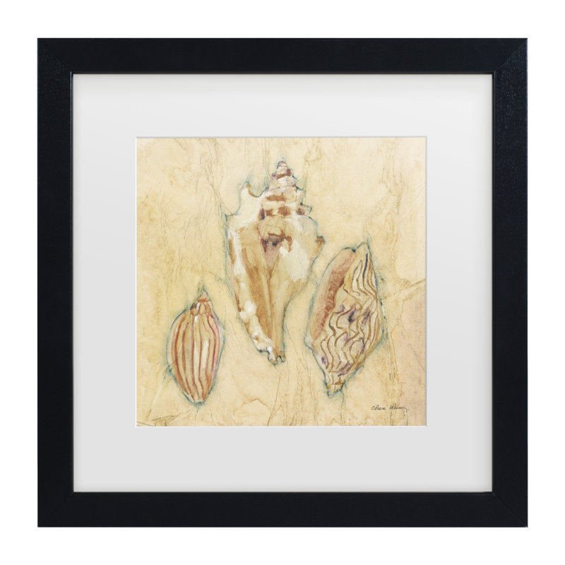 «Cheri Blum Shells I Matted», art encadré, H 13 po x l 13 po, Noir, noir, noir, noir