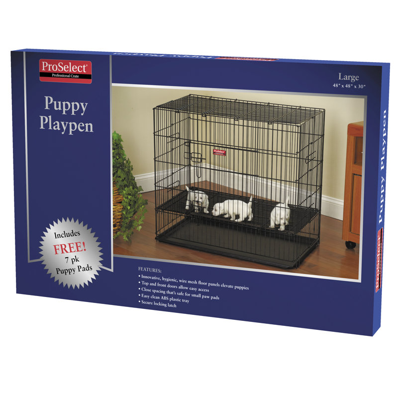 Enclos pour chien