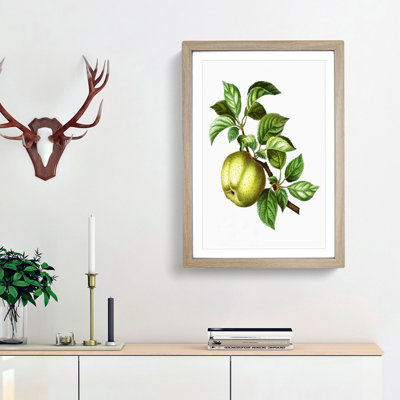 Green Apple by Pierre-Joseph Redoute - Picture Frame Painting Print