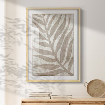Corderius -Gallery Wrapped Canvas