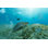 Underwater Global Problème avec des déchets en plastique par Jag_Cz - Photographie sur toile tendue