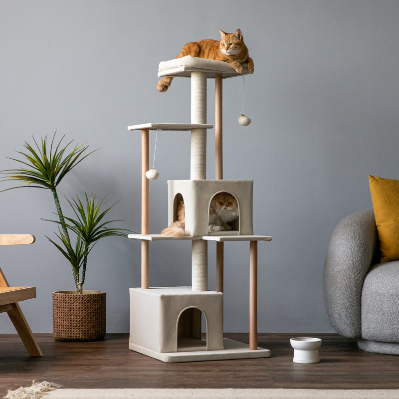 Arbre à chat 53 "Davied