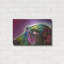 «Sneek Peek 1» par Dean Russo-633659904