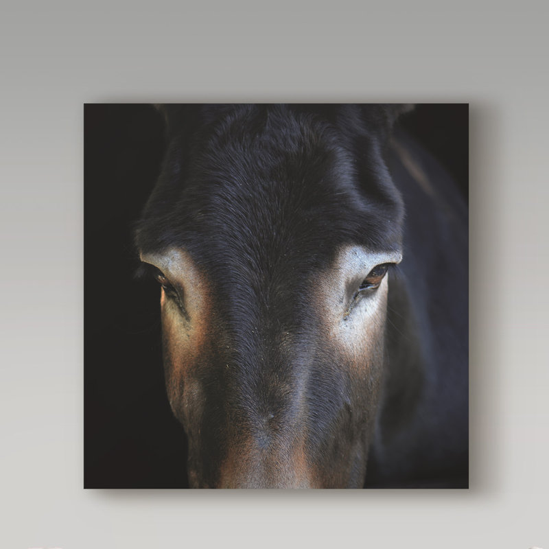 «Look at Me», reproduction de photo sur toile tendue, H 14 po x l 14 po