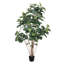 Hévéa artificiel en pot vert-20583852