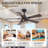 42" Modern Ceiling Fan In Matte Black With Remote, Reversible Quiet Motor & Light Memory Function