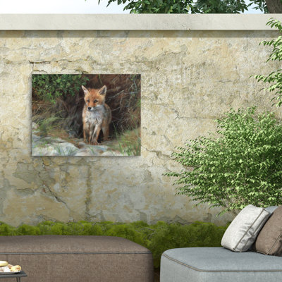 David Stribbling Young Red Fox Outdoor  Canvas