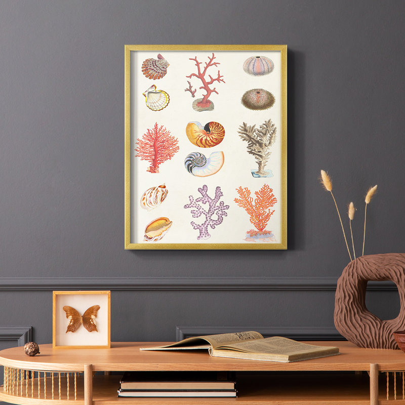 «Coral & Shell Collage I», reproduction encadrée - bois massif, H 10 po x l 8 po