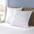 Godfried Polyester Plush Pillow