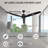 Ceiling Fan