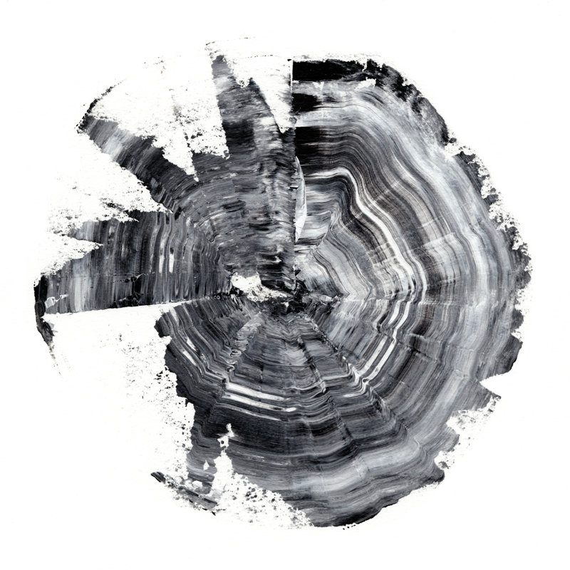 Tree Ring Abstract II by Ethan Harper - Wrapped Canvas Painting, 30cm H x 30cm W