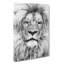 Lion Portrait - Wrapped Canvas-56643163