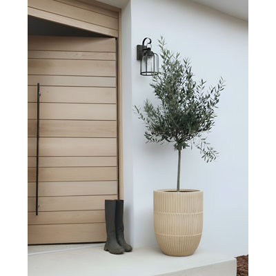 Pot Planter