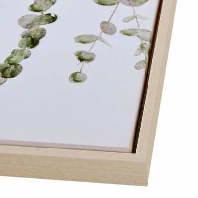 Eucalyptus 2 pièces
