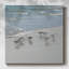 Sandpiper Shore II-104877760