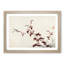Dragonfly by Kono Bairei - Picture Frame Painting Print-55734077-55734078