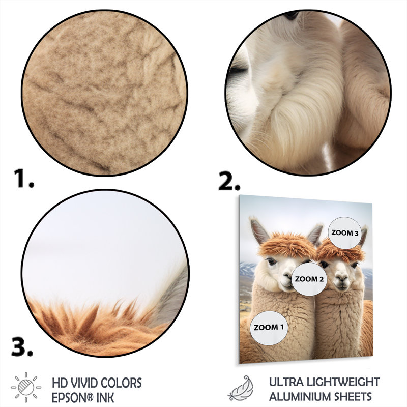 Alcapas Curious Companions Two - lama, impression sur métal, H 32 po x l 16 po x P 1 po