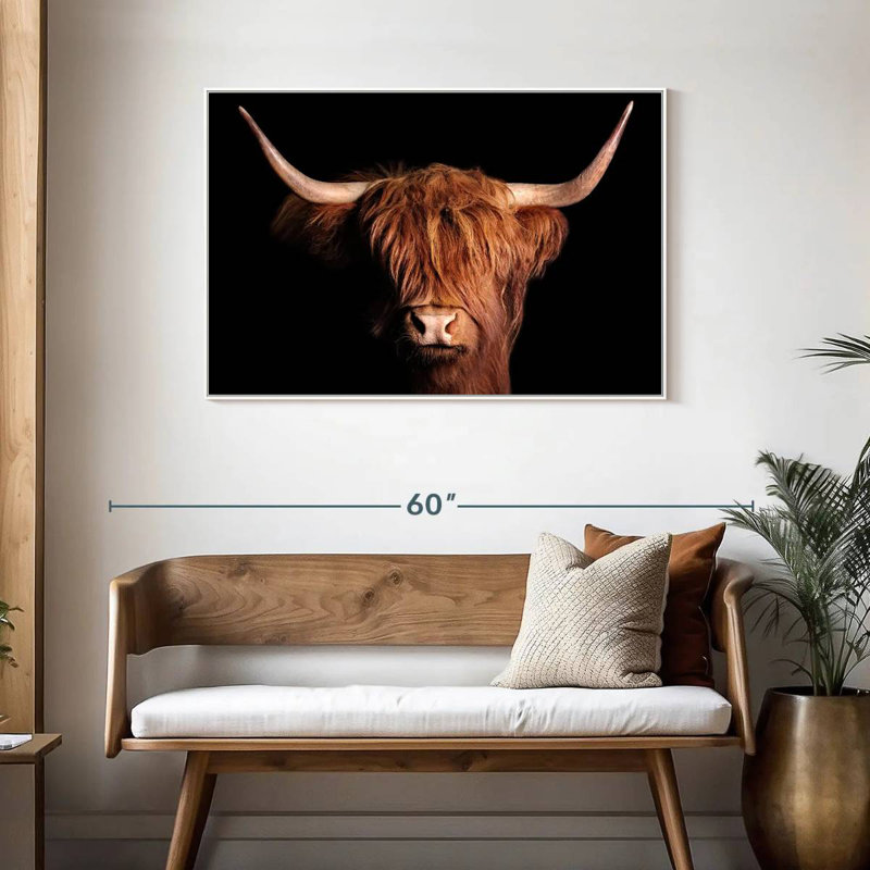 Vache écossaise Highland, Cadre flottant blanc, 43 po x 29 po