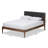 Chasitie Upholstered Platform Bed-212178045-212178041