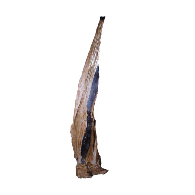 Teak Root Sculpture