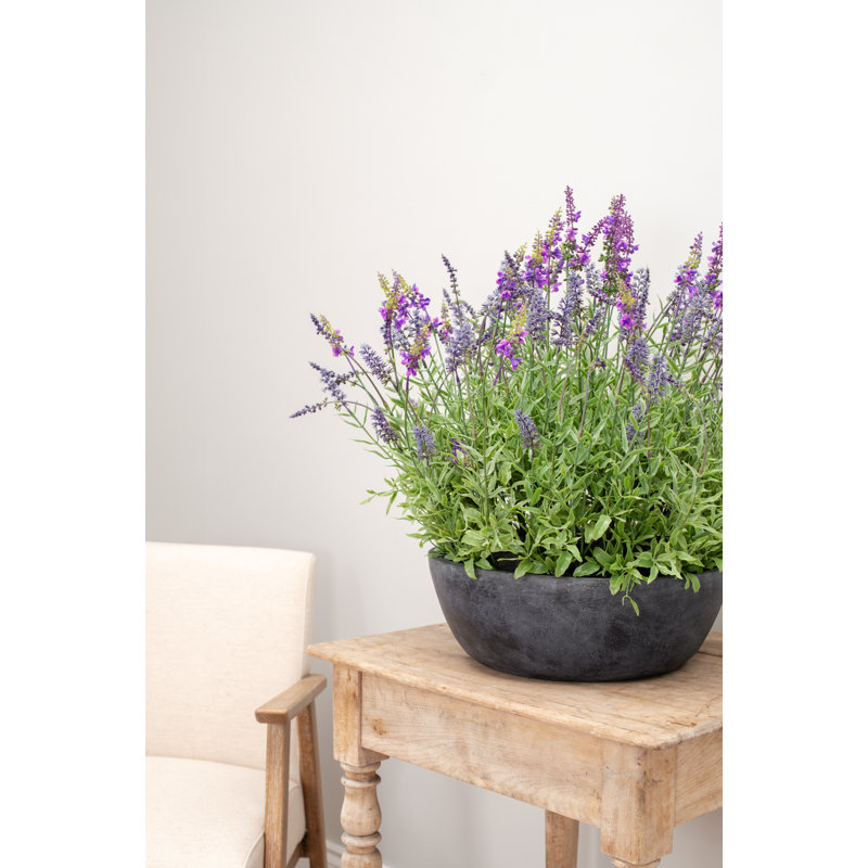 60cm Faux Lavender Plant in Pot Liner