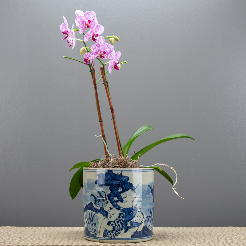 Handmade Ceramic Basin