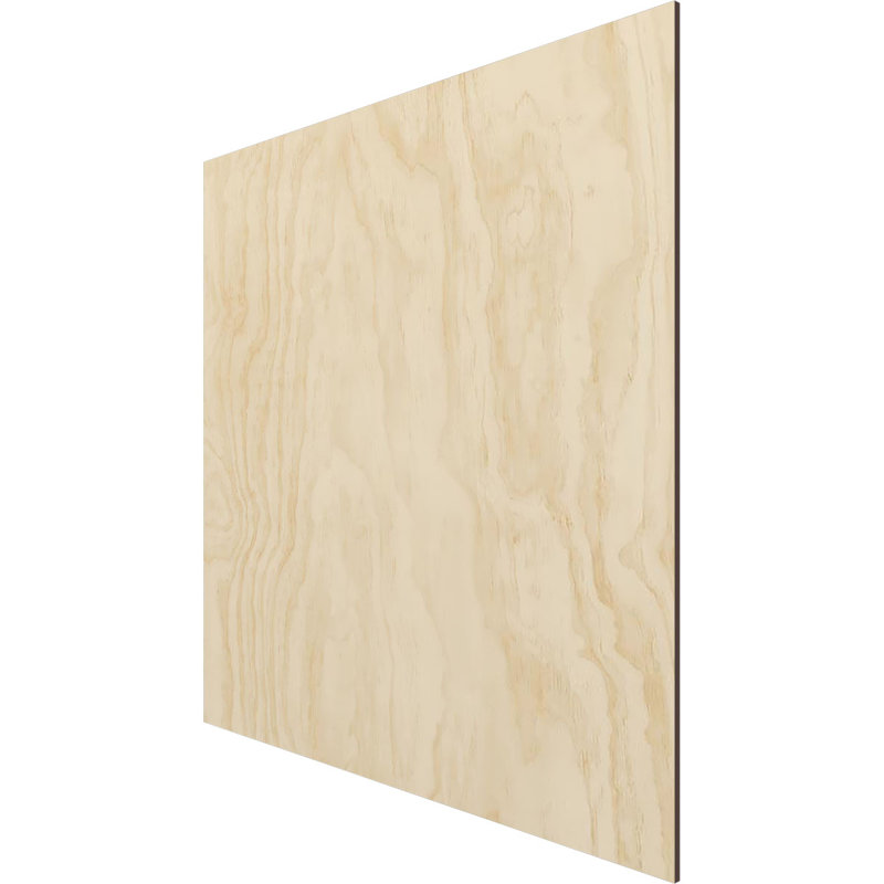 Planche de loisir en bois, Bouleau, H 23,75 po x l 23,75 po x P 0,25 po