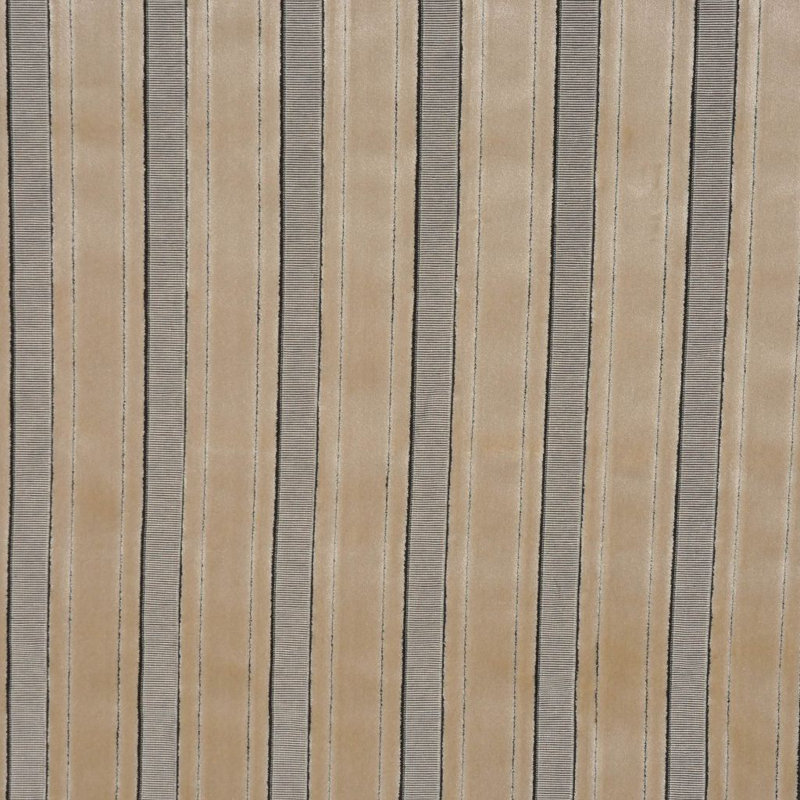 Allure Fabric