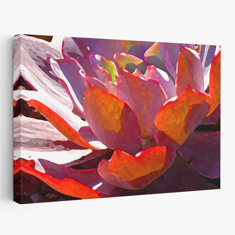 Plantes, fleurs, abstrait, paysage, nature, H 40 po x l 60 po