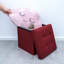 Chakera 30cm Wide Square Solid Colour Ottoman with Storage-744287261