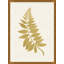 Gold Botanical 4 Print by Lillian August