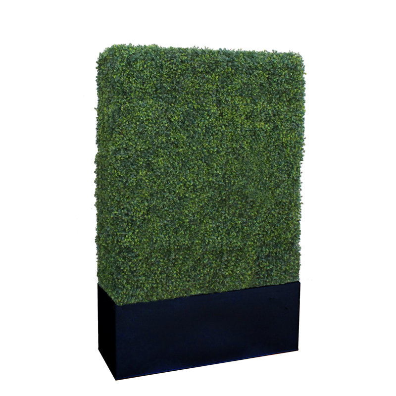 Faux Boxwood Hedge in Wood Planter, Black, 72" H x 40" W x 12" D