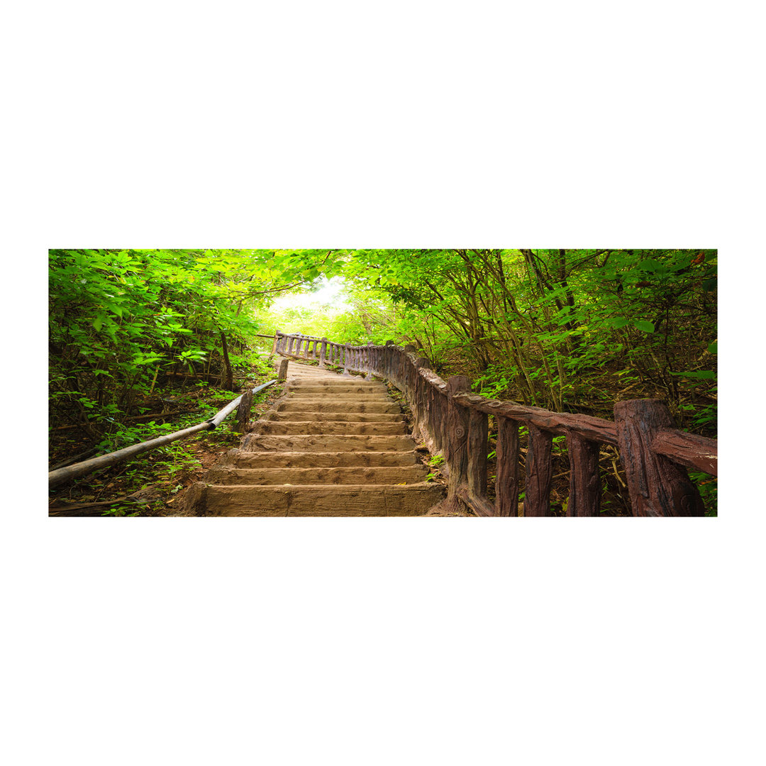 Treppe im Wald - Leinwanddrucke