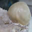 Fluorite botryoïde sur améthyste