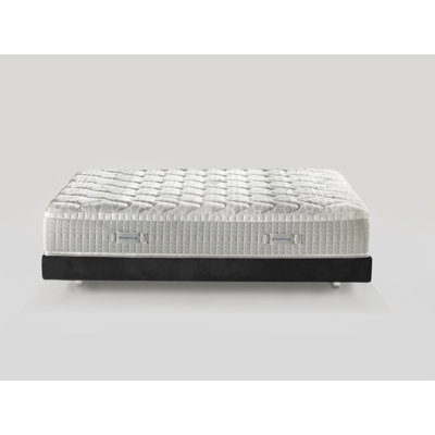 MagniStretch Plus très grand