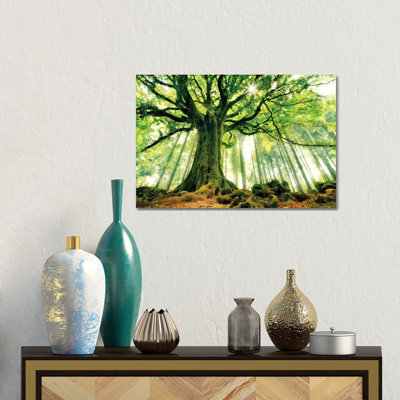 Ponthus' Beech 1 Piece Wall Art