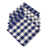 Blue/White