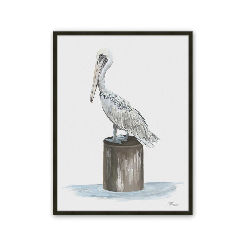 «Pelican Side Eye» par Cat Thurman Designs, reproduction d'art, L 12 po x H 16 po, Noir, Impression encadrée