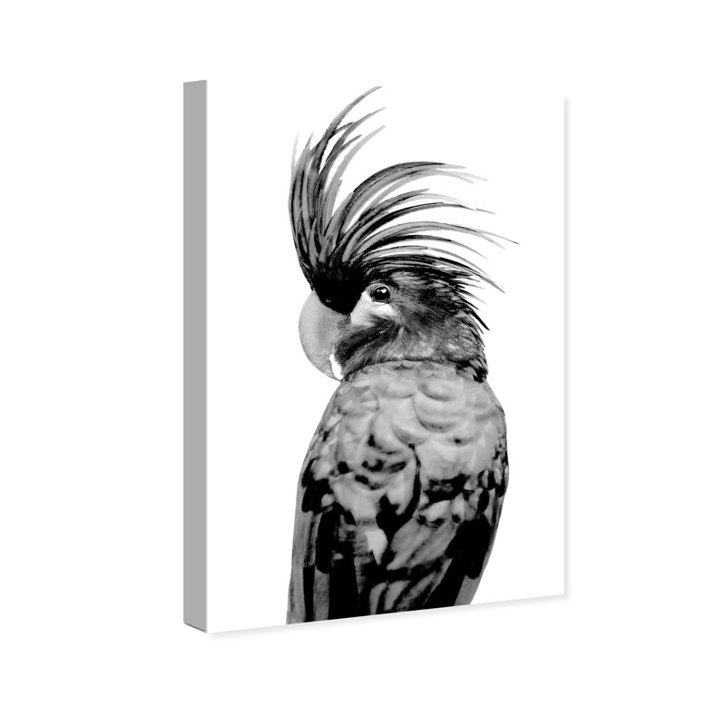 Animaux, cacatoès - Impression sur toile, H 45 po x l 30 po, Toile tendue